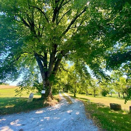 Gite De L'Edelinie Nanteuil-Auriac-de-Bourzac Luaran gambar